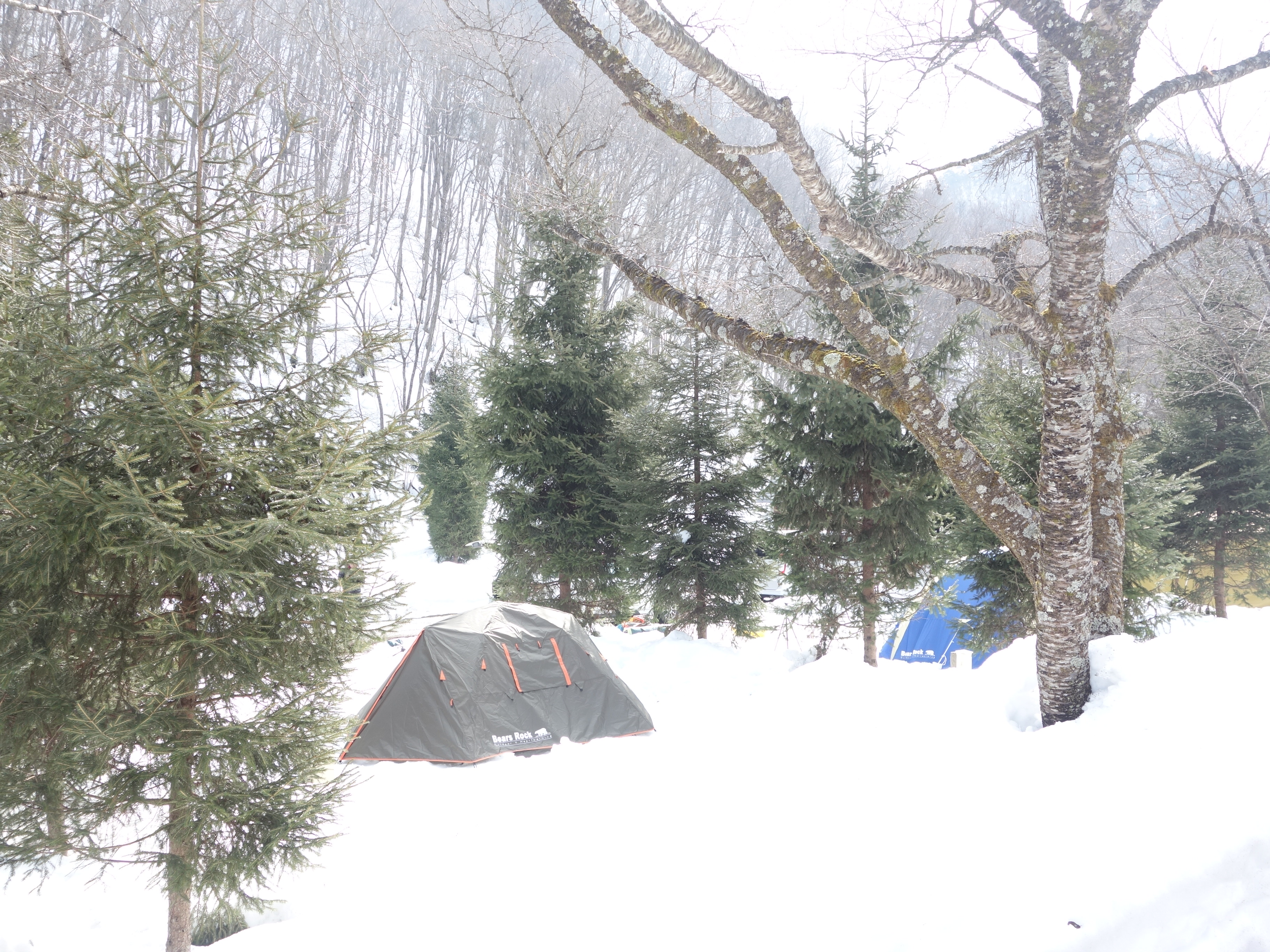 雪中キャンプ写真