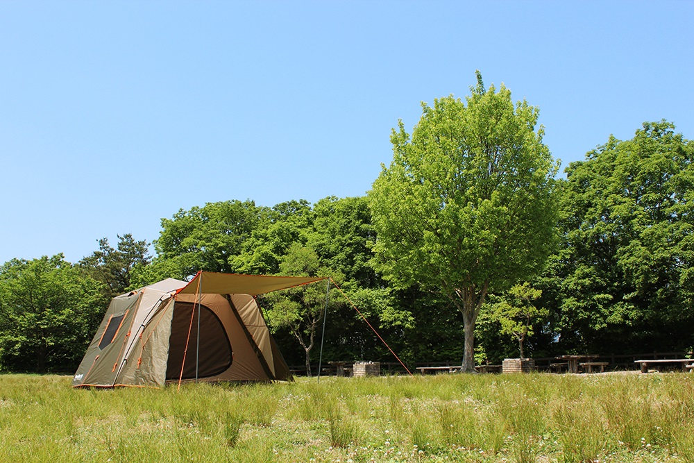 キャンプ場の写真