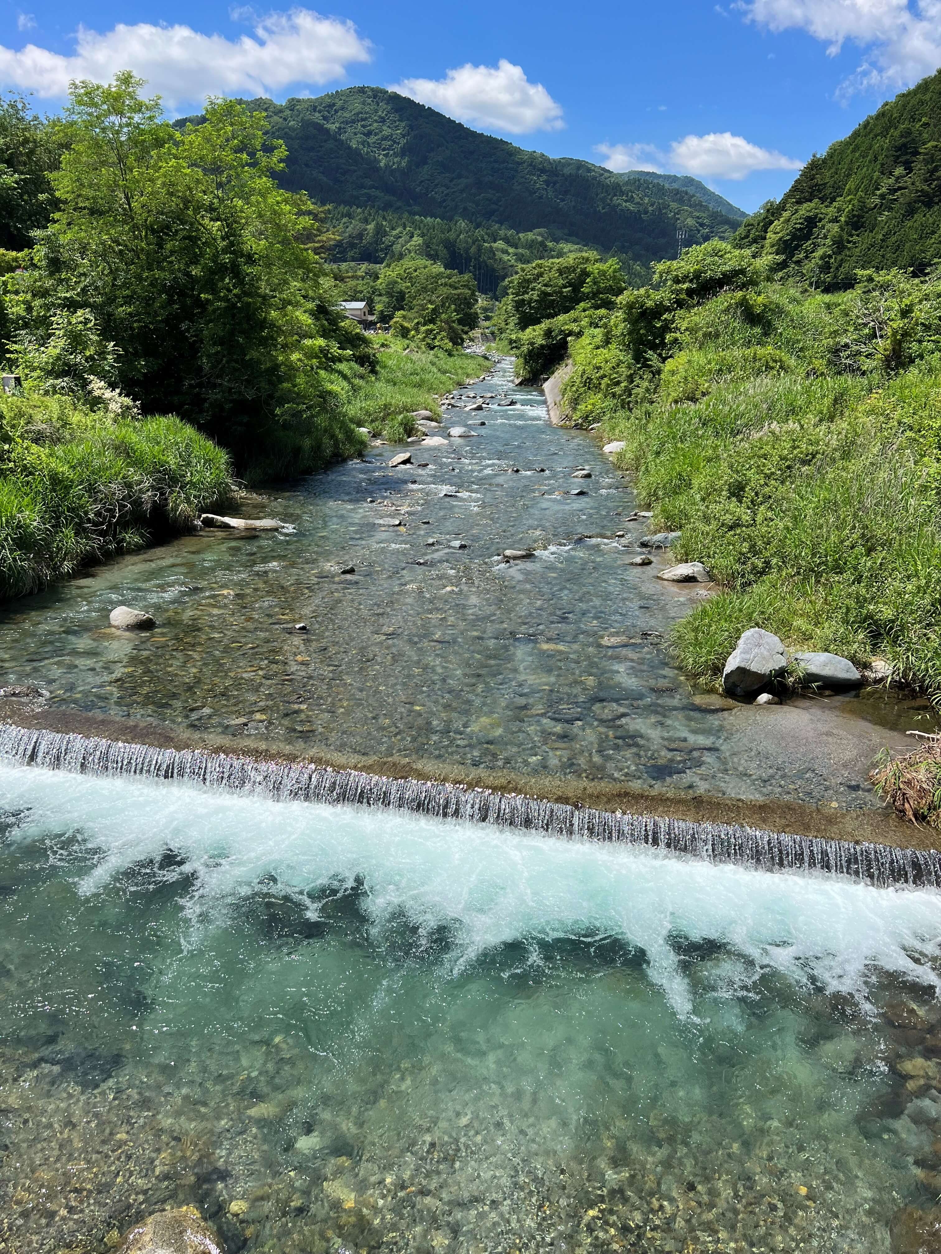 渓流の写真