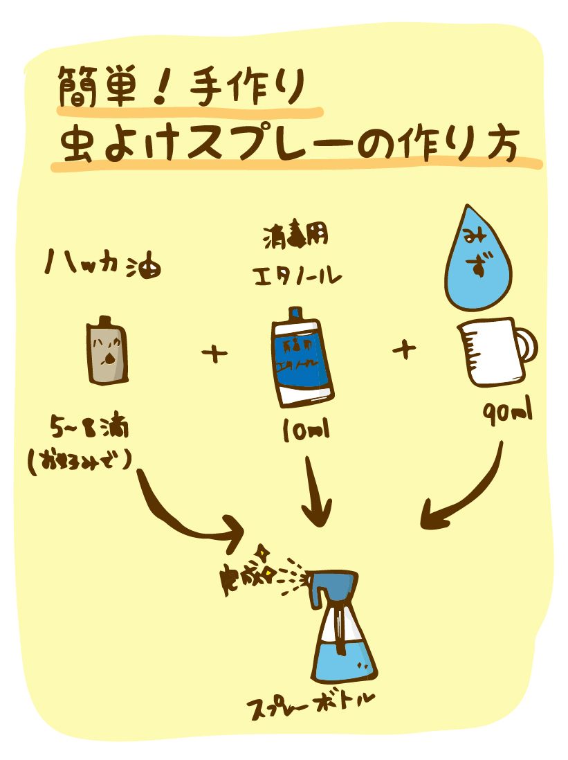 手作り虫よけスプレーの作り方