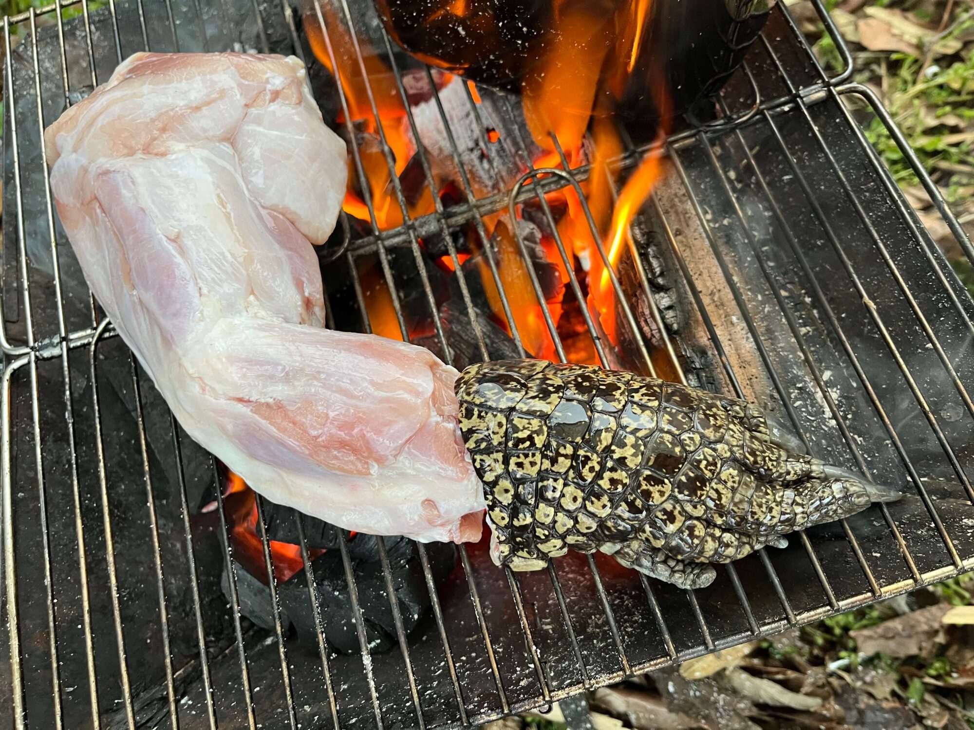 ワニ肉を焼いている様子