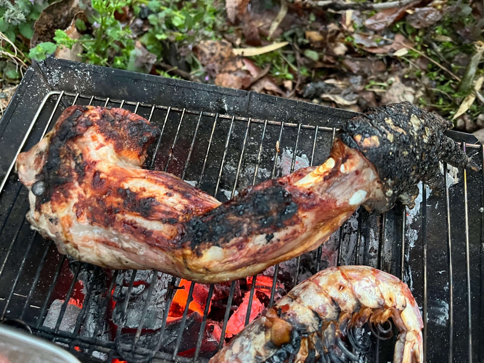 焼きあがったワニ肉の写真