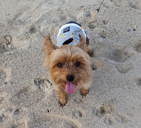 benkichi さんの自己紹介画像