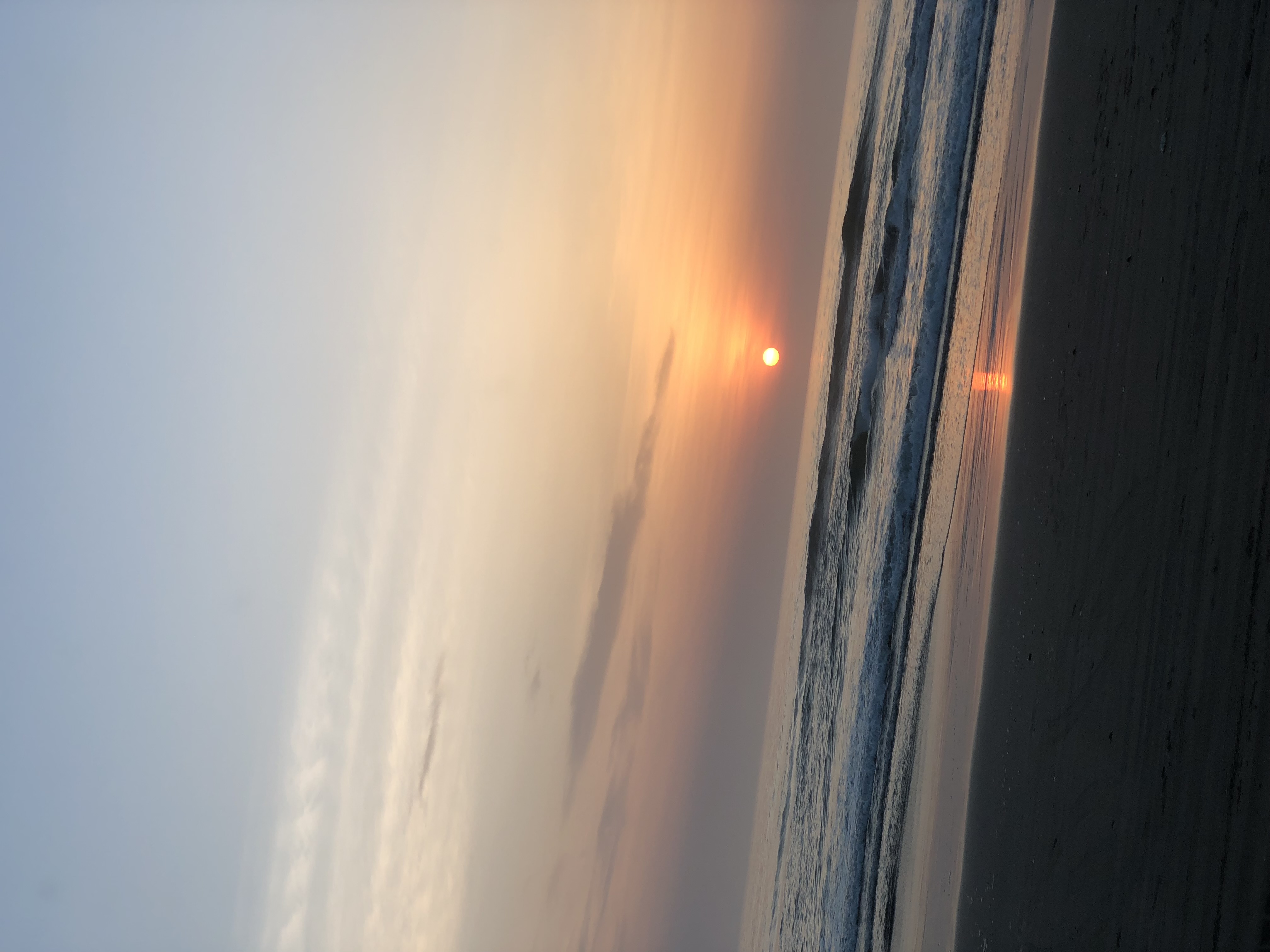 Oyu さんの自己紹介画像