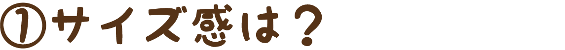 ①サイズ感は？